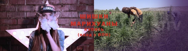 ешки Заводоуковск