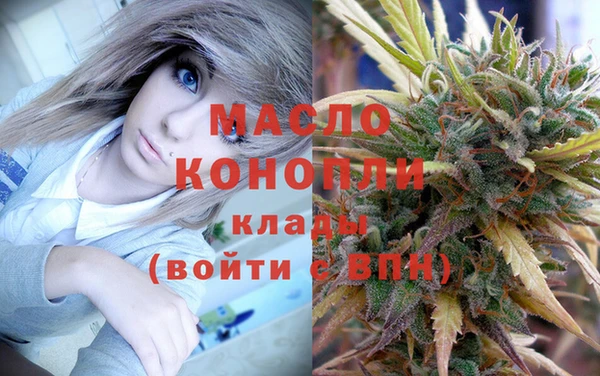 индика Домодедово