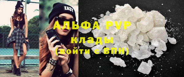 МДПВ Ельня