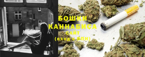 МДПВ Ельня